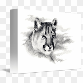 By David Rogers - Mountain Lion Drawing, HD Png Download - mountain drawing png