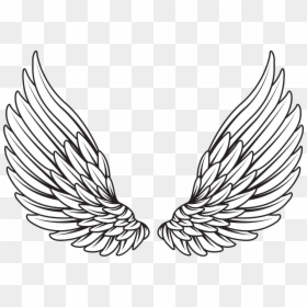 Clip Art Pin De Meher Sabharwal - Angel Wings Vector Png, Transparent Png - asas png