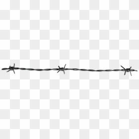 Wire Fencing,barbed Wire,fence,line - Barbed Wire, HD Png Download - wire fence png