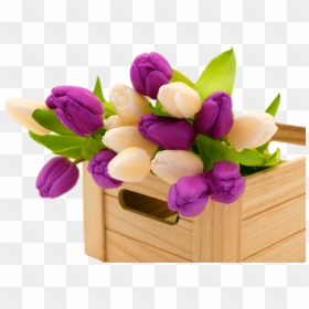 Happy Monday Blessing View, HD Png Download - flower box png