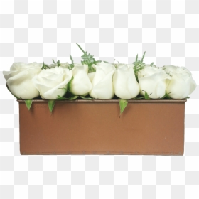 The Luxury Copper Style Box Is Arranged With Individually - Garden Roses, HD Png Download - flower box png