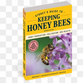 Cover, HD Png Download - honey bees png