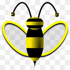 Bee, Honey Bee, Wasp, Honey, Nature, Fauna, Summer - Transparent Background Scope Svg, HD Png Download - honey bees png