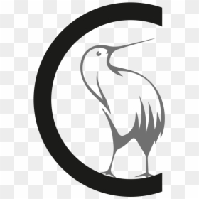 Kiwi Bird Png Clipart , Png Download, Transparent Png - white bird png