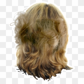 Messy Hair Transparent, HD Png Download - straight hair png