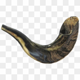 Shofar Png Transparent Picture - Rams Horn, Png Download - instrument png