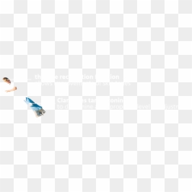 Pattern, HD Png Download - claro png