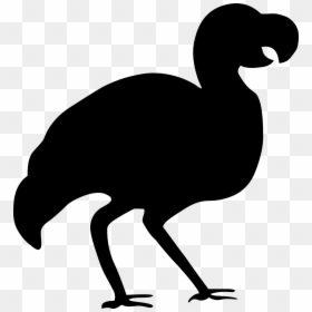 Bird Dodo Silhouette Clip Art - Dodo Bird Silhouette, HD Png Download - dodo bird png
