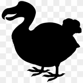 Dodo Silhouette, HD Png Download - dodo bird png
