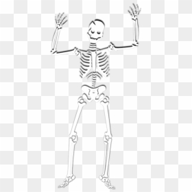 Halloween Skeleton Cartoon Scary, HD Png Download - human skeleton png