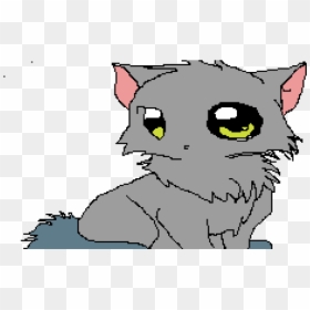 Transparent Cute Cat Png - Domestic Short-haired Cat, Png Download - cat png image