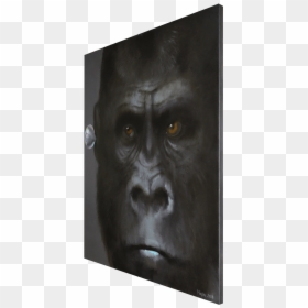 Gossip I - Nobig - Art - Monkey, HD Png Download - gossip png