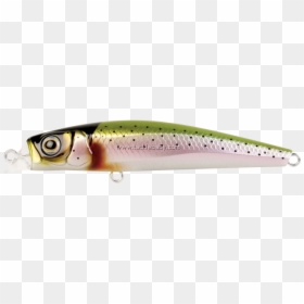 Bait Fish, HD Png Download - rainbow trout png