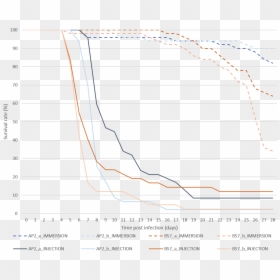 Plot, HD Png Download - rainbow trout png