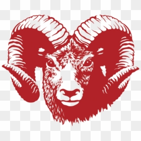 Edgewood Rams, HD Png Download - ram head png