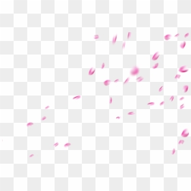 Wrapping Paper, HD Png Download - falling flowers png