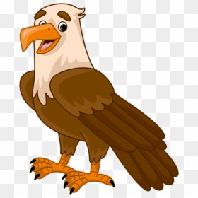 Bald Eagle, HD Png Download - eagle .png