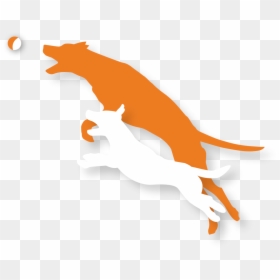 White Dog And Orange Dog Silhouettes - Active Dog Silhouette Dog Jumping, HD Png Download - white dog png