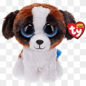 Product Image - Beanie Boo Duke, HD Png Download - white dog png