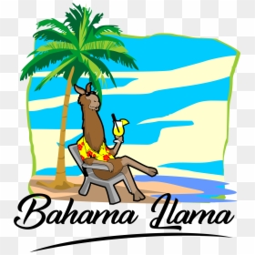 Bahama Llama T-shirt , Transparent Cartoons, HD Png Download - blue t shirt png