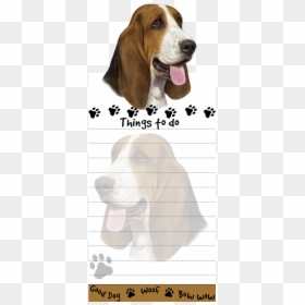 Transparent Basset Hound Png - Shih Tzu, Png Download - basset hound png