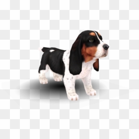Nintendogs Basset Hound, HD Png Download - basset hound png