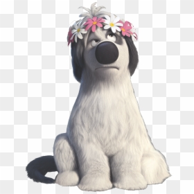 Afghan-hound - Ferdinand Paco, HD Png Download - basset hound png