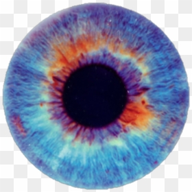#eye #eyeball #eyes #pupil #blueeyes #pupilsticker - Iris Eye, HD Png Download - pupil png