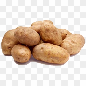 Image - Us Russet Potatoes, HD Png Download - plant png tumblr