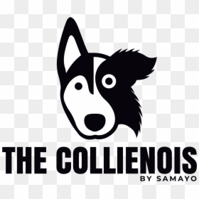 The Collienois Dog Blog Dog Training Pet Photography - Desmond The Moon Bear, HD Png Download - bite marks png