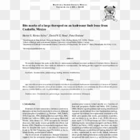 Document, HD Png Download - bite marks png