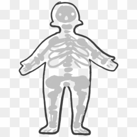 Illustration Clipart , Png Download - Clip Art Of Digestive System, Transparent Png - skeletal system png