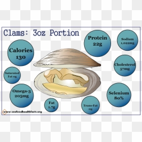 Diagram, HD Png Download - clams png
