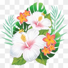 Rosemallows Hawaiian Hibiscus Flower - Hawaiian Flowers Png, Transparent Png - hawaii flower png