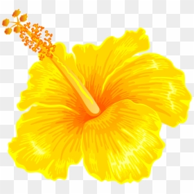 Hibiscus Clip Art Yellow, HD Png Download - hawaii flower png