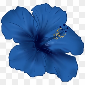 Blue Hibiscus Png, Transparent Png - hawaii flower png