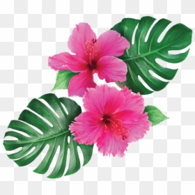 Hawaiian Hibiscus, HD Png Download - hawaii flower png