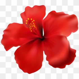 Hibiscus Clip Art Red, HD Png Download - hawaii flower png
