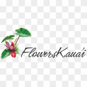 Calligraphy, HD Png Download - hawaii flower png