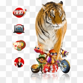 Tiger, HD Png Download - tiger scratch png