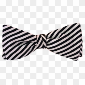White And Blue Background, HD Png Download - black bowtie png