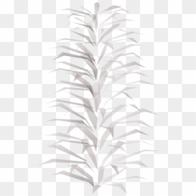 Tree, HD Png Download - small plant png
