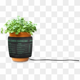 Transparent Small Plant Png - Plant Heating Mat, Png Download - small plant png