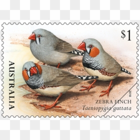 Australia Post Stamps 2018, HD Png Download - vintage postage stamp png