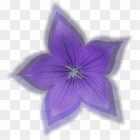 Small Flower Png -more Free Small Flower Png Images - Balloon Flower, Transparent Png - flower logo png