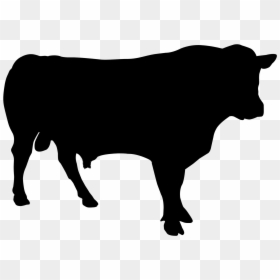 Cattle Vector Graphics Clip Art Royalty-free Illustration - Silhouette Of Cow, HD Png Download - bull vector png