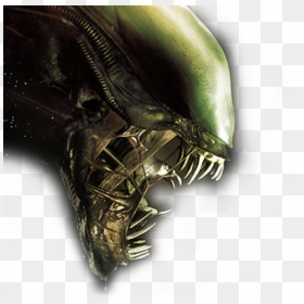 Download Alien Movie Png, Transparent Png - alien isolation logo png