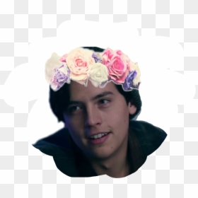 #colesprouse #cole #riverdale #sticker #cutie #cutiexcolesprouse - Stickers Cole Sprouse Png, Transparent Png - cole sprouse png