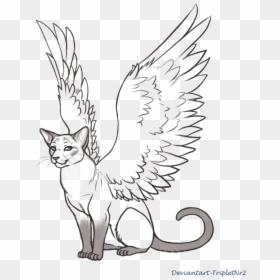 Wings Lineart Siamese Cat For Free Download - Angel Cat Wings Drawing, HD Png Download - anime lineart png