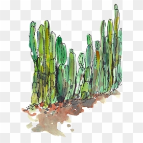 Transparent Desert Cactus Png - Cactus Transparent, Png Download - desert cactus png